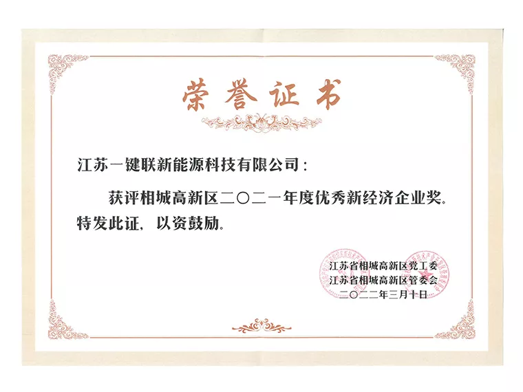 优秀新经济企业奖